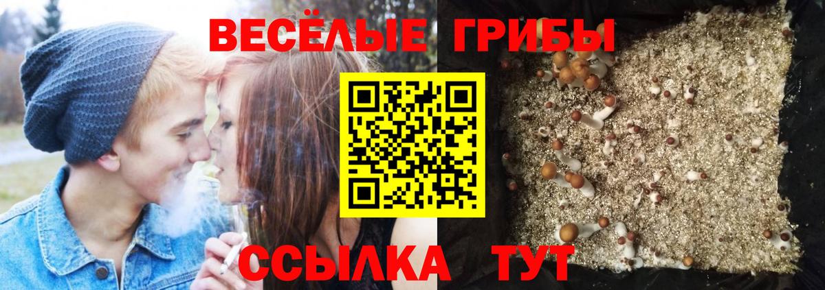 Усть-Джегута  Псилоцибиновые грибы мицелий  Вход с VPN 