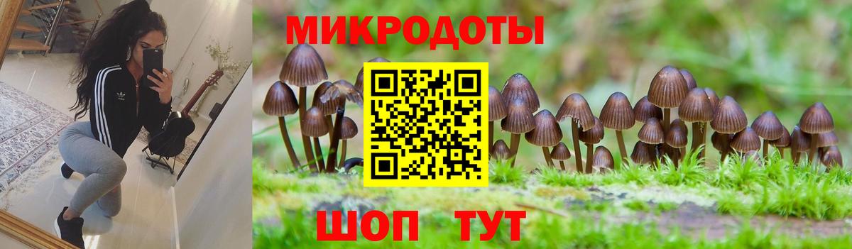 Галлюциногенные грибы прущие грибы Усть-Джегута