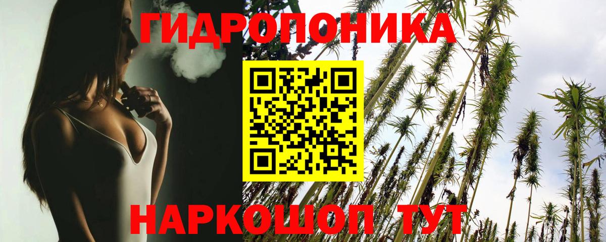 Усть-Джегута  Бошки Шишки ГИДРОПОН  Бошки Шишки конопля  Каннабис ГИДРОПОН  Вход с VPN 